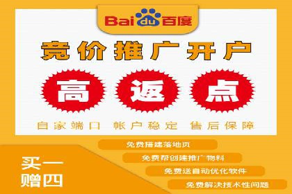 SEM代运营机构案例分析：优化策略与执行